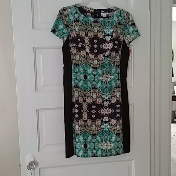 Clothes - Picture 3 of 8